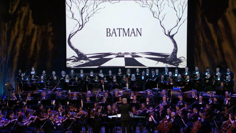 Bats, Cats and Penguins