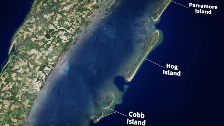 Against the Current: Life on the Eastern Shore | Barrier Islands