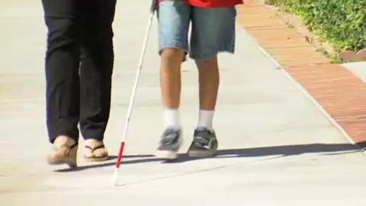 Junior Blind