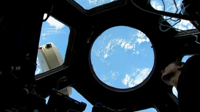 The Cupola