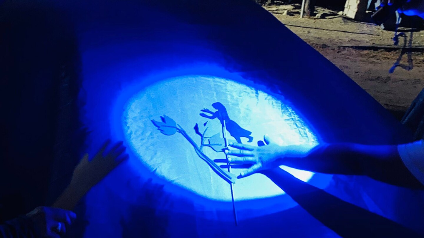 A light shines on blue cloth outlining a shadow puppet and a shining on a leaf-like object. The performance is part of at "Firefly Nights," an in-person COVID-safe experience that falls within the "Rio Reveals" series.