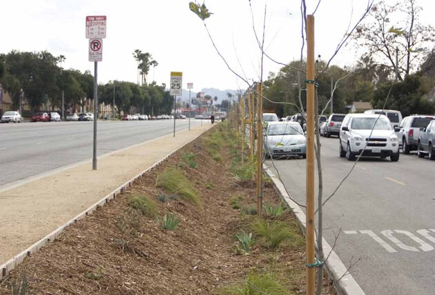 woodmanmedian.jpg