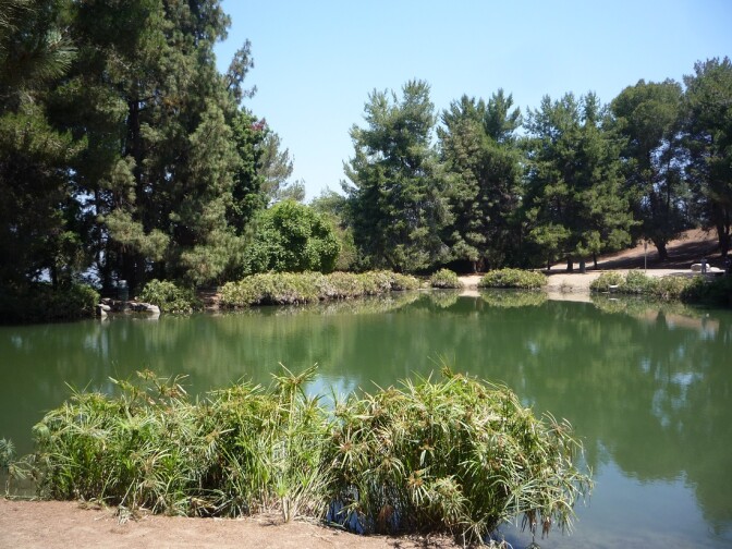 Debs Lake (1)