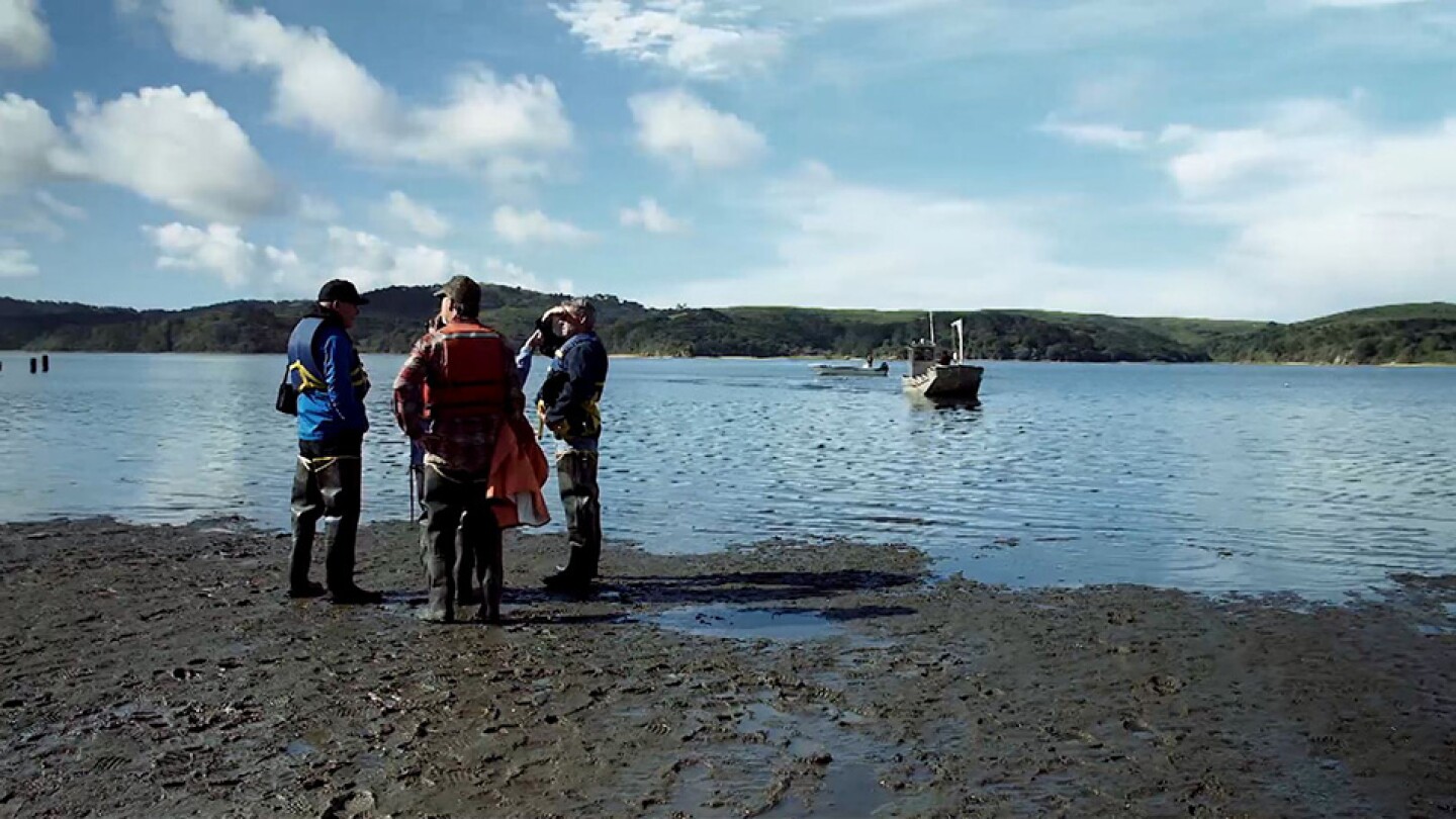 brightcove-4396000063001.jpg