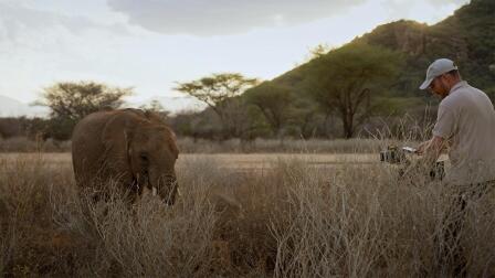 How They Filmed Orphaned Elephants at Reteti