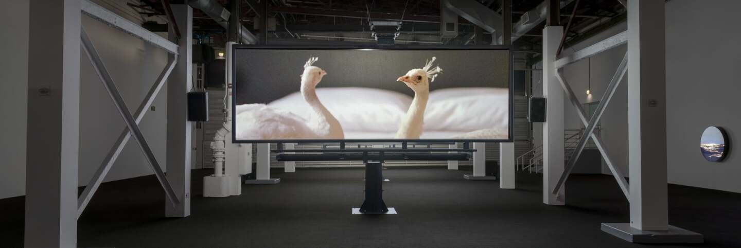 Installation view of Doug Aitken: Electric Earth, September 10, 2016–January 15, 2017 at The Geffen Contemporary at MOCA, courtesy of The Museum of Contemporary Art, Los Angeles | Joshua White migration (empire), 2008 Aitken AB s9