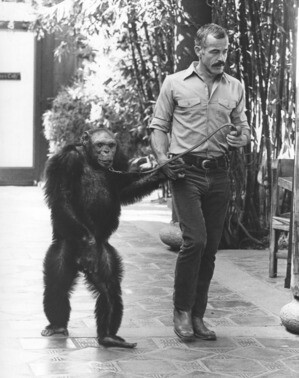 Oliver the ape at Enchanted Village | <br /> Herald-Examiner Collection, Los Angeles Public Library