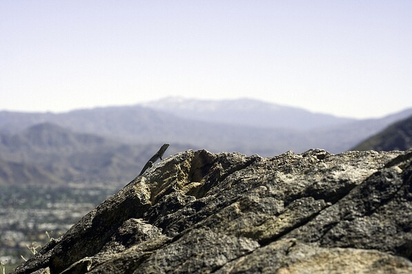Lording it over the hills above Palm Springs | Chris Clarke photo