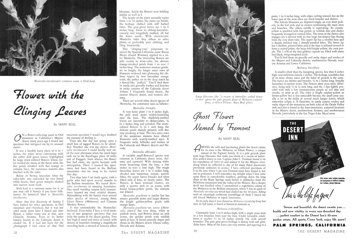 Desert Magazine articles by Mary Beal