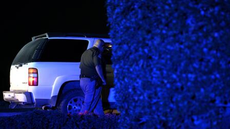 An essay on power and the police