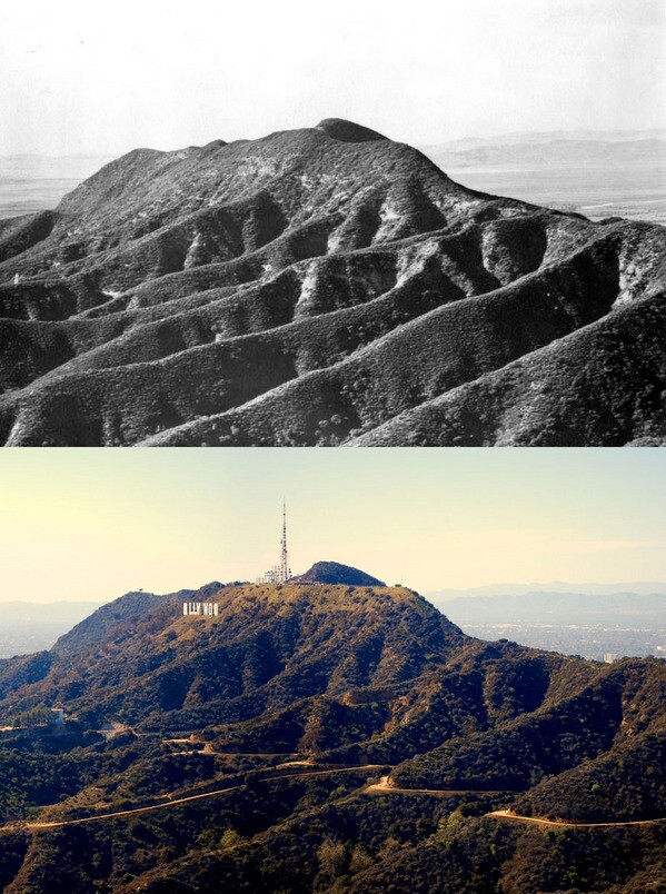 mount lee before after comparison-thumb-600x804-77768