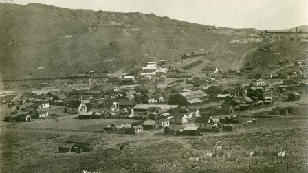 Bodie