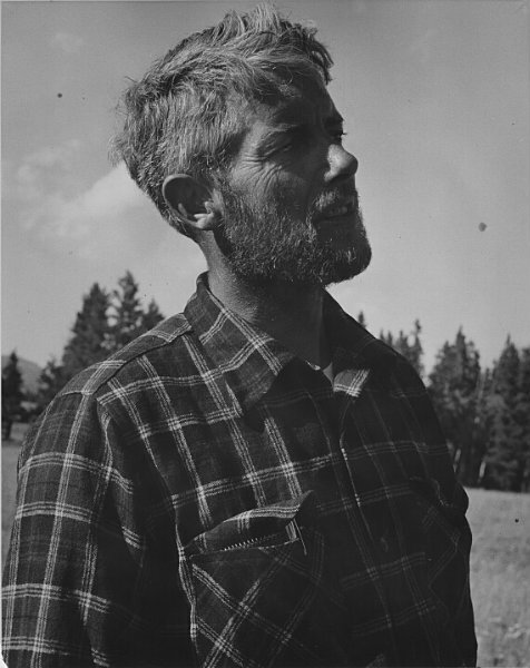 David Brower