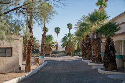 Looking back at the Boulevard of Dreams in Zzyzx | Katie Noonan