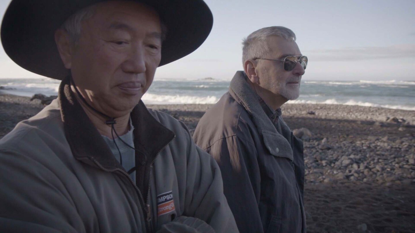 Still from "Earth Focus"