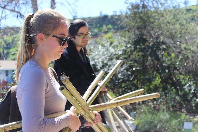 CSUN students Genevieve Hilburn and Stephen Crews gathering arundo | Spencer Robins