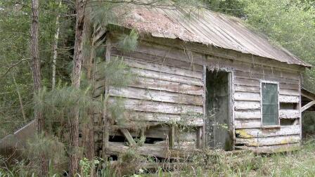 Slave Cabin