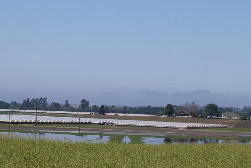 An agricultural field stands submerged in several inches of water under a hazy blue sky.