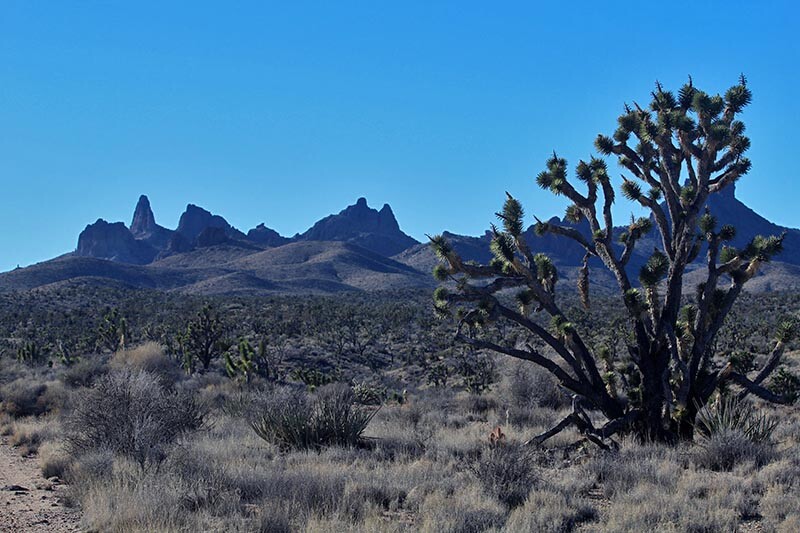 j-trees-castle-peaks-9-27-16.jpg