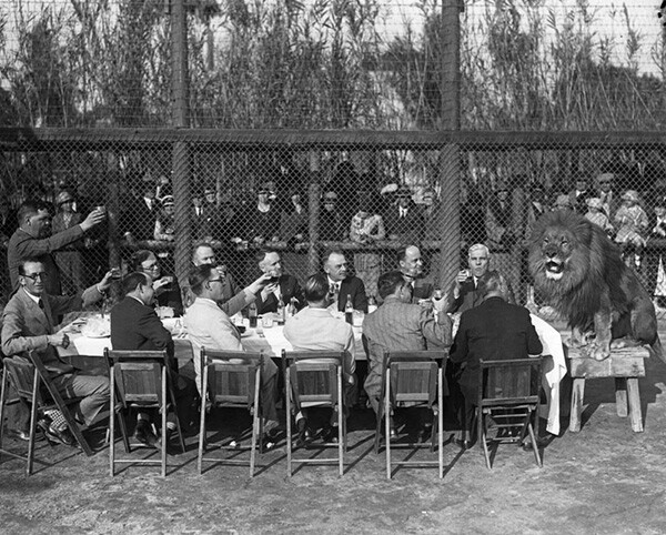 Thirteen men seated at a table, give a toast to a lion sitting at the end of their table. Crowd of onlookers watch from outside the lion's pen. | Courtesy of Los Angeles Public Library