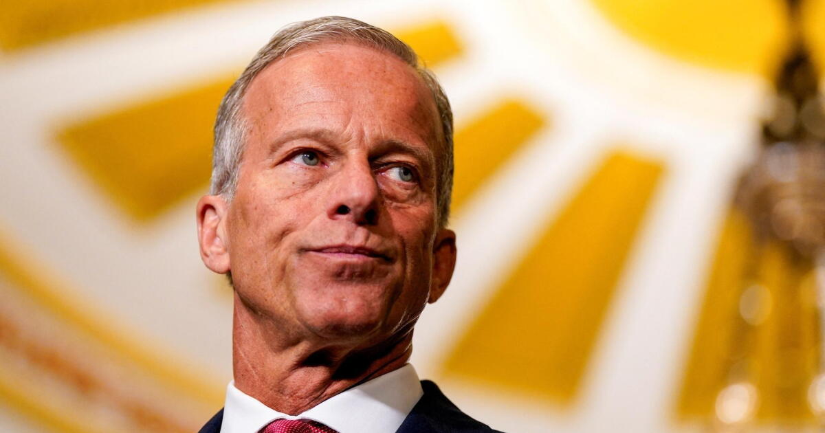 Watch Thune says vote on subsidies possible after government opens ...