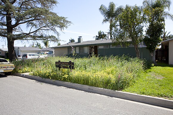 Site 17, Covina, after | Fritz Haeg, "Wildflowering L.A.," 2013-2014. A LAND (Los Angeles Nomadic Division) Exhibition. | Image courtesy of Isabel Avila