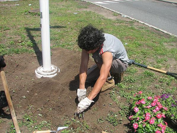landscaping-south-los-angeles