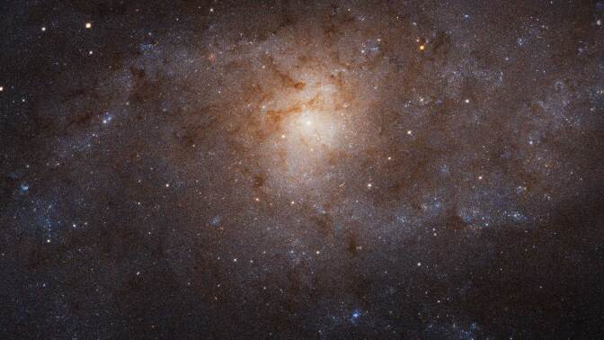 NASA's Hubble Space Telescope maps the undisturbed Triangulum galaxy (M33) in an image that spans 14,500 light-years | NASA, ESA and M. Durbin, J. Dalcanton, and B.F. Williams (University of Washington)