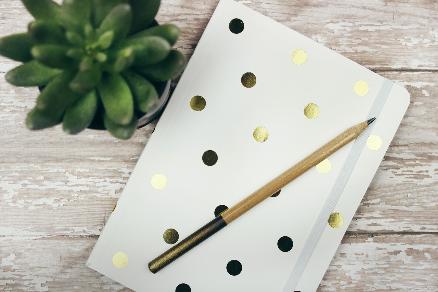 Gold and white polka dot notebook or journal sits on a white wooden desk with pencil and small planted succulent. | Jen Theodore / Unsplash