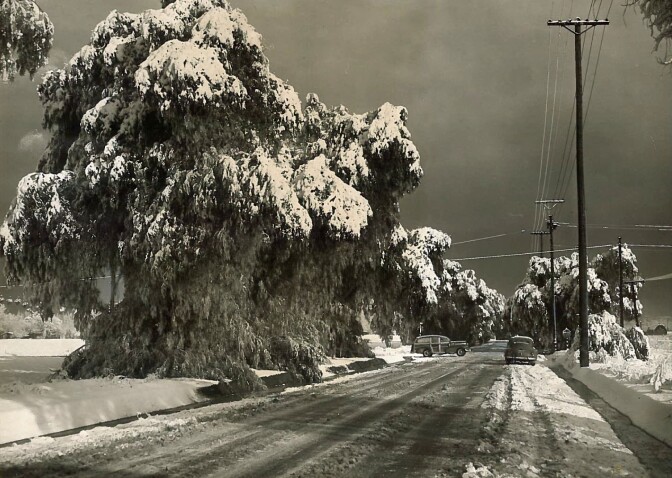 A wintry scene in Canoga Park on Jan. 13, 1949