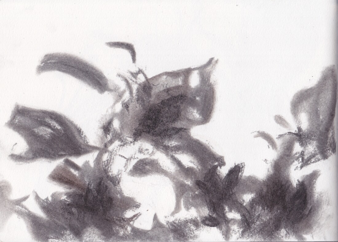 Environmental Capture at Point Mugu, 2016. Found charcoal on paper.
