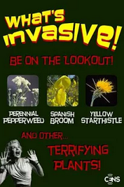 Image: whatsinvasive.org