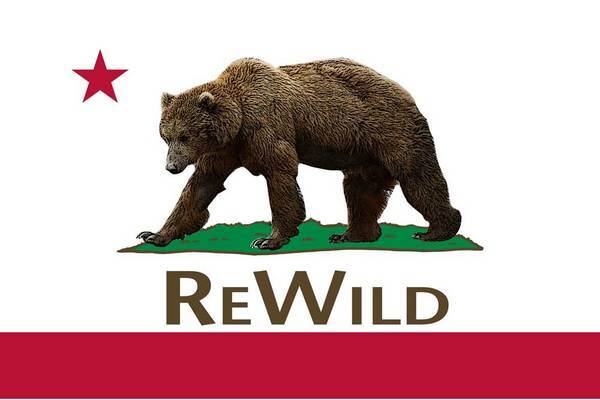 rewilddraft-thumb-600x400-61911