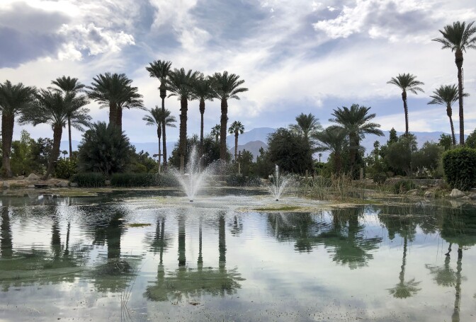 At the center of a reflective pond, water spews out like a fountain. On the outer edges of the pond, the water is still, reflecting the cloudy sky above and date palm trees that dot the shore of the pond.