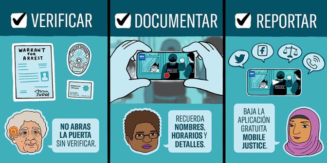 A Spanish version of an illustration that outlines the steps communities should take to report ICE visits. | Audrey Chan, ACLU SoCal