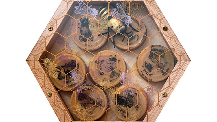 02_Nancy_Macko_Honey_Teachings_MM03.jpg
