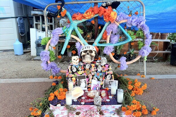 Bicycle Shrine at Proyecto JardÃn