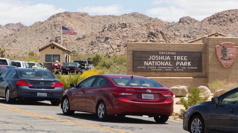 Long line of cars at Joshua Tree NP | Photo: NPS