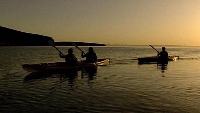 The People of Baja