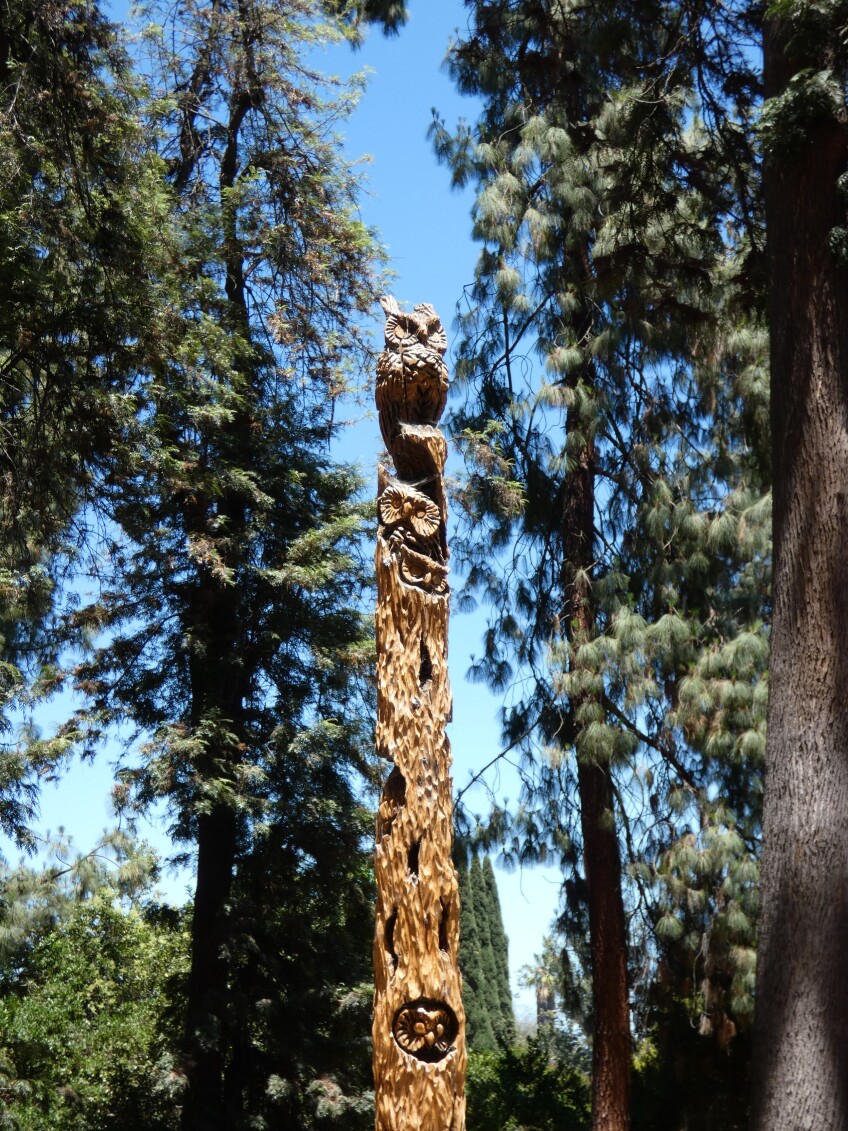 Owls are carved into a redwood tree at Ganesha Park.