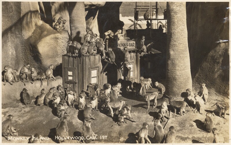 Monkey Island, Hollywood, 1949