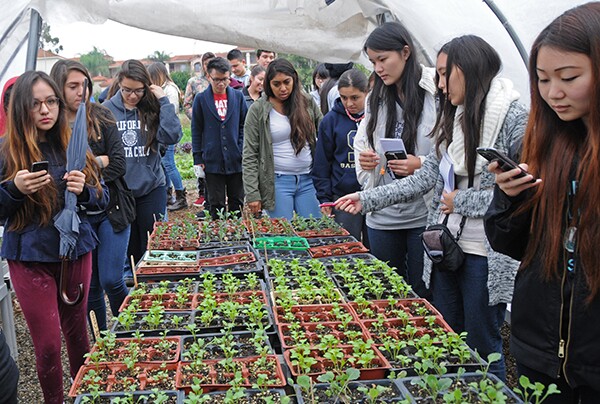 The Farm has a green house where they nurture saplings for the Farm and for sale to the public