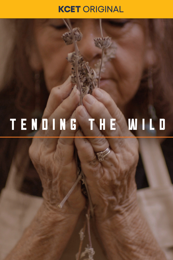 Tending the Wild