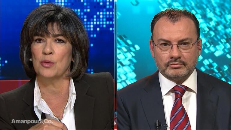 Mexican Foreign Minister Luis Videgaray Caso on Immigration