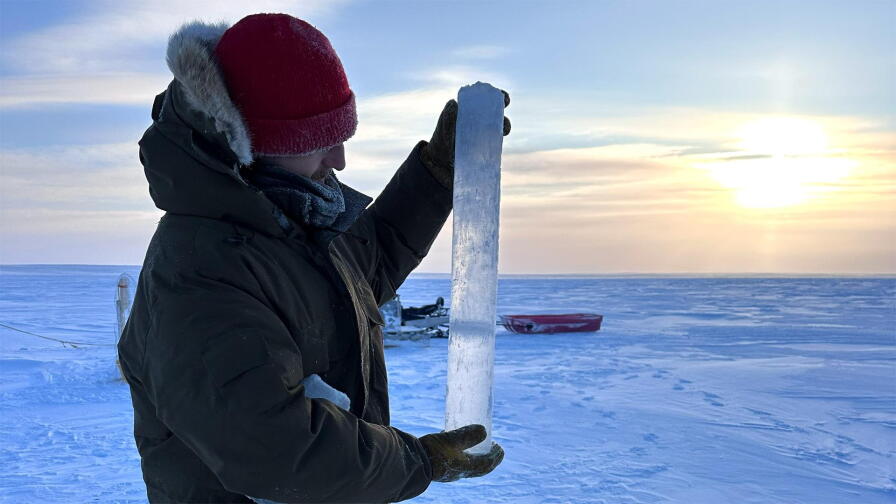 Refreezing Arctic Sea Ice