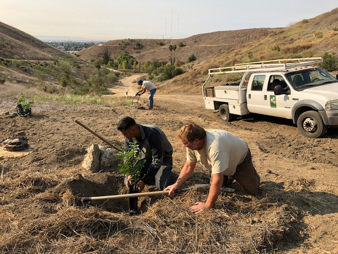 Tom Dwyer demonstrating proper tree planting for local youth at Ascot Hills. This was the last large habitat restoration project that Tom led. | Courtesy of North East Trees
