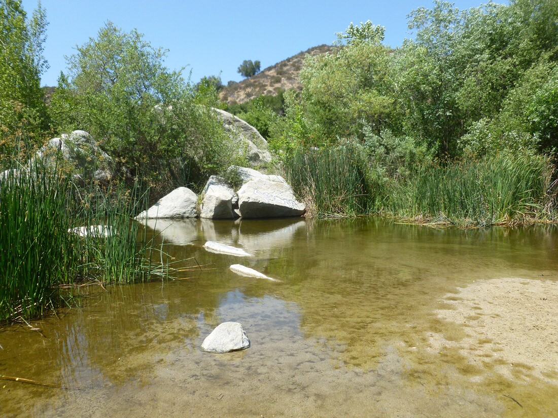 Santa Margarita River and Preserve (1)