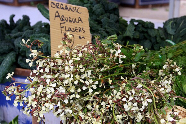 Organic6