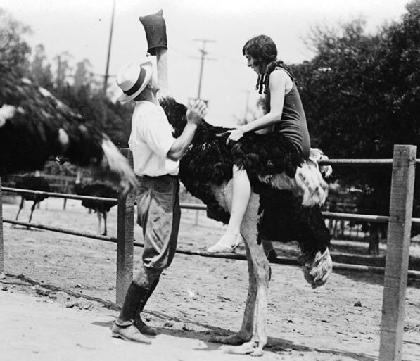 A woman rides an ostrich at Lincoln Heights' Luna Park Zoo. Courtesy of the Title Insurance and Trust / C.C. Pierce Photography Collection, USC Libraries.