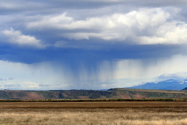 desert-rain-1-28-13-thumb-600x400-44161
